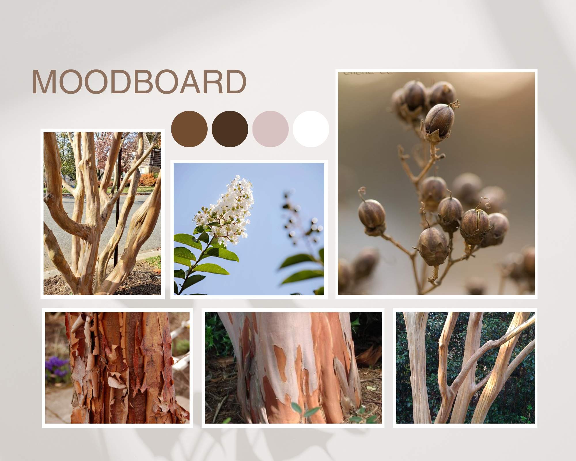 Mood board for Woodland Bloom Vase